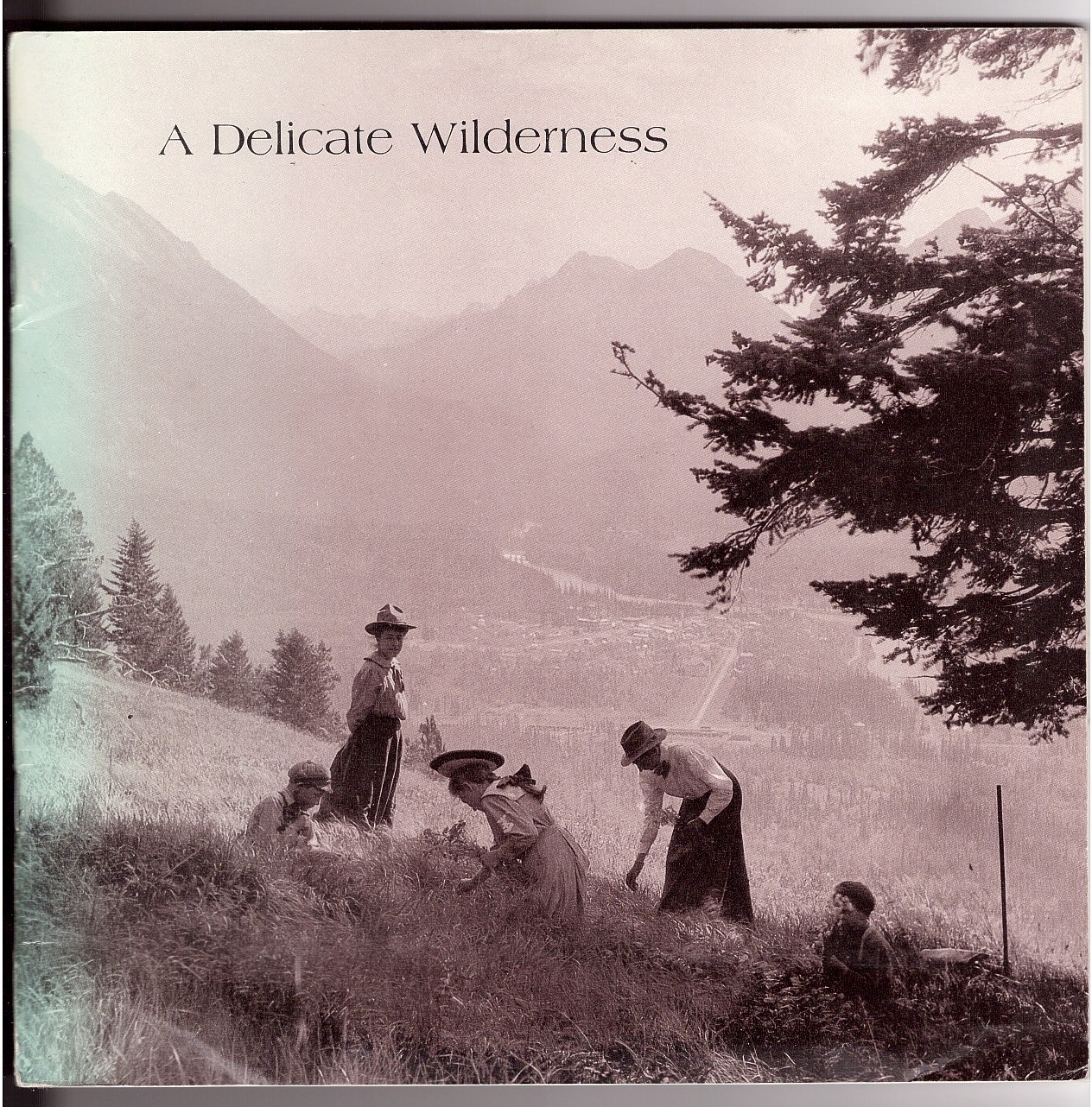 A Delicate Wilderness; The Photography of Elliott Barnes 1905-1913 Image for A Delicate Wilderness; The Photography of Elliott Barnes 1905-1913