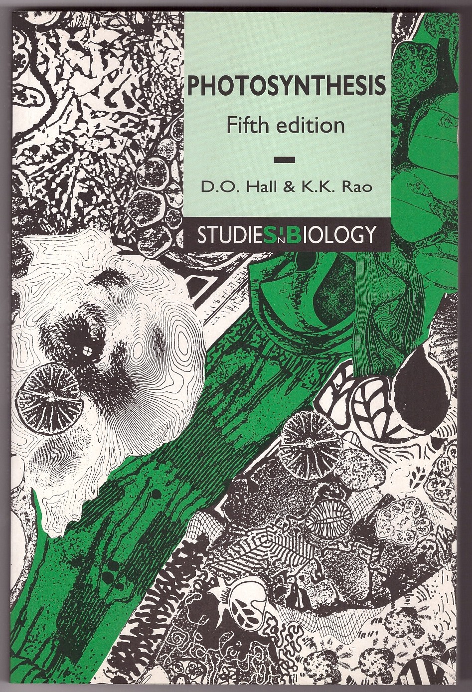 Image for Photosynthesis