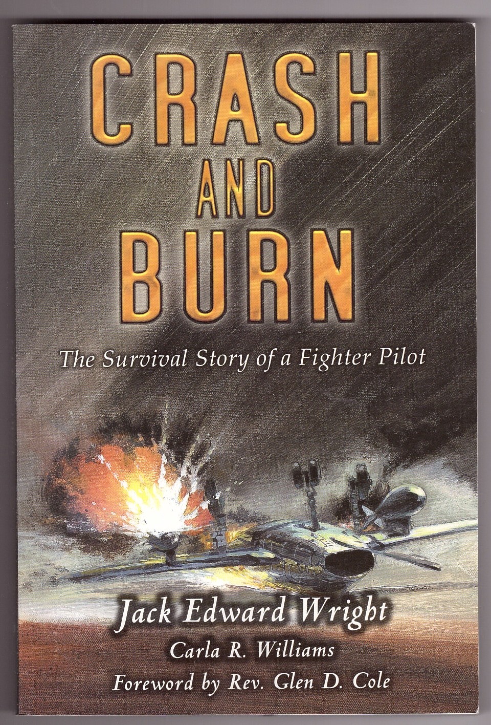 Image for Crash and Burn The Survival Story of a Fighter Pilot