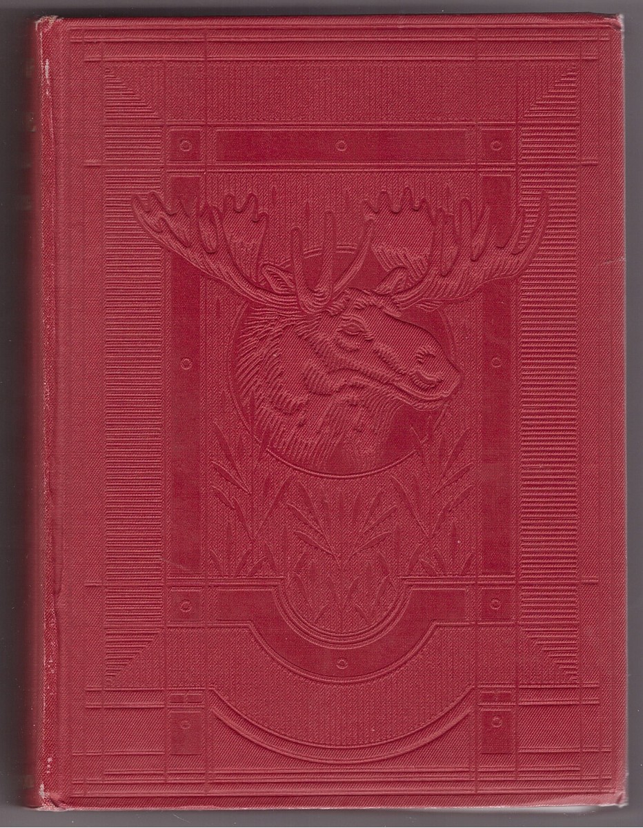 Image for The Feet of the Furtive